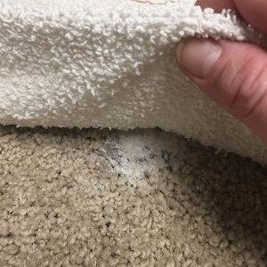 damp cloth place right over wax on carpet