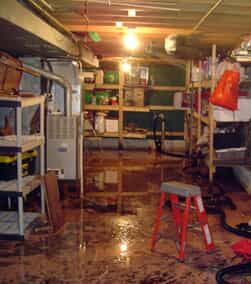 water damaged basement
