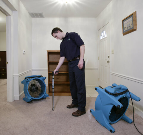 Man Cleaning Carpet with Equipment