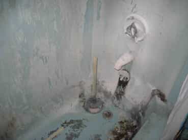 severe mold infestation in bath tub