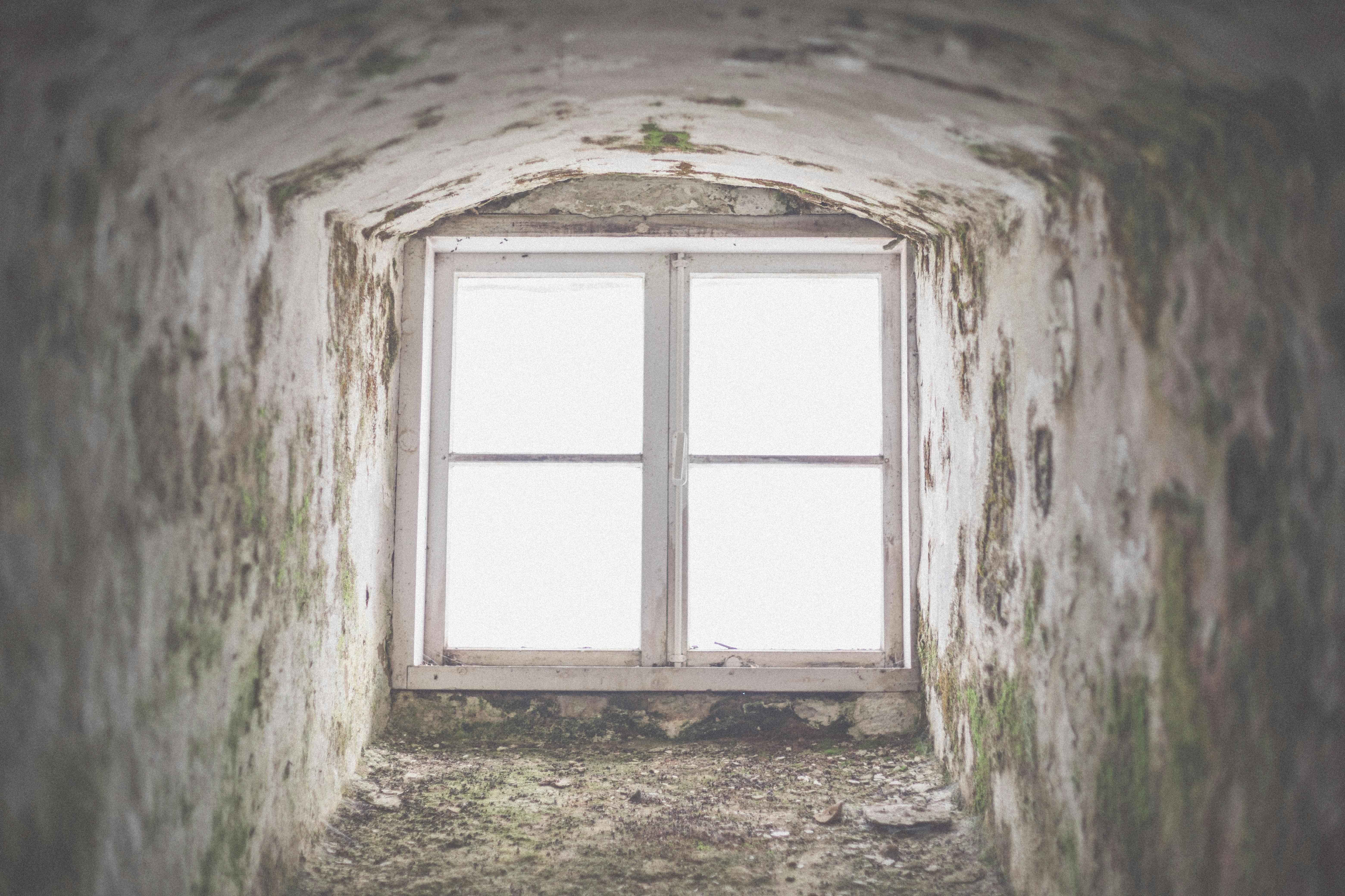 mold on walls 
