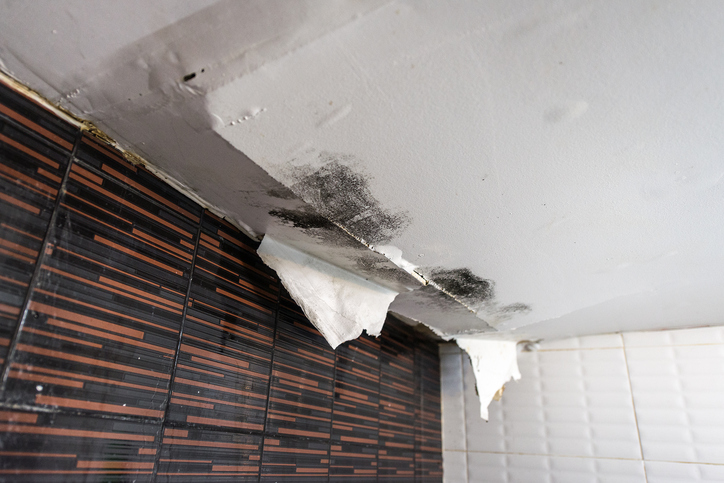 Ceiling affected by water damage in need of professional mold remediation in Oklahoma City