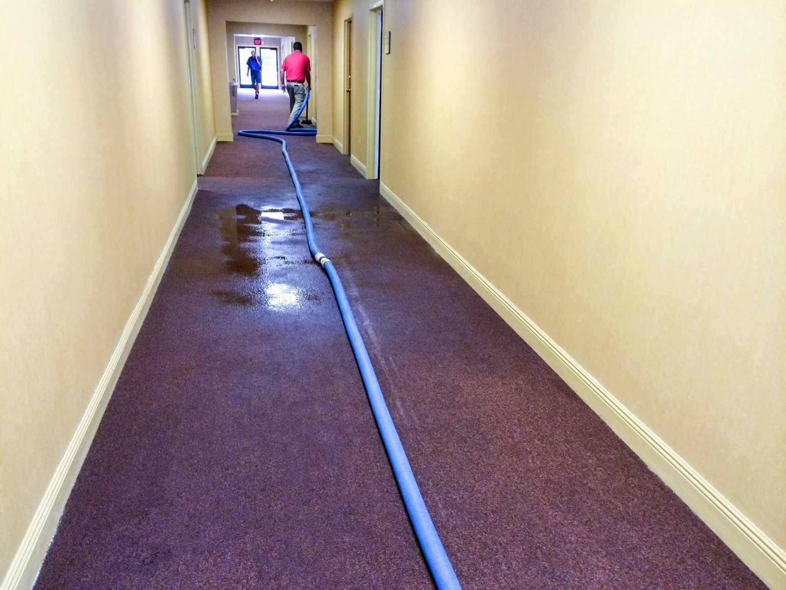 Water on carpet in hallway