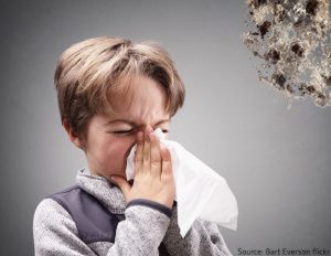 child sneezing into tissue due to mold