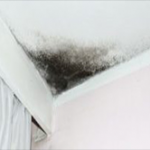 Black mold on a ceiling