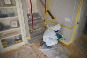 mold removal expert in st cloud removing mold from vent