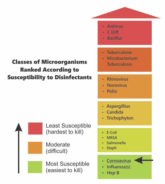 classes of microorganisms ranked by strength against disinfectants