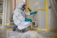 Mold removal