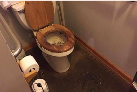 backed up toilet