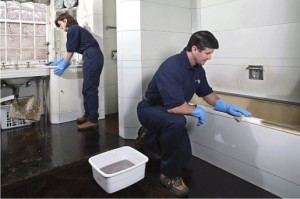 Man and woman cleaning a bathroom