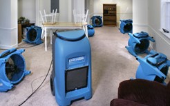 Dehumidifier and Fans in a Living Room