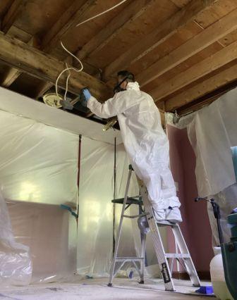 kitchen mold removal