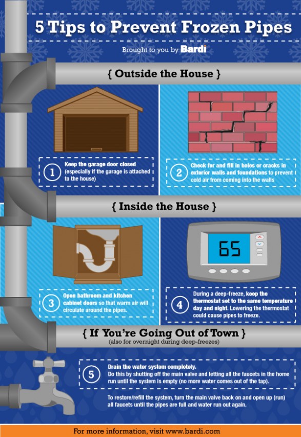 5 Tips to Prevent Frozen Pipes Infographic