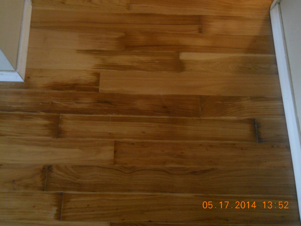 Wood floor with water damage may swell, change color or other visual symptoms of absorption