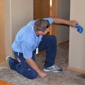 technician looking for water damage in drywall