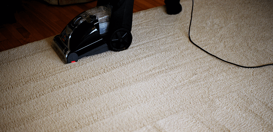 Carpet cleaner