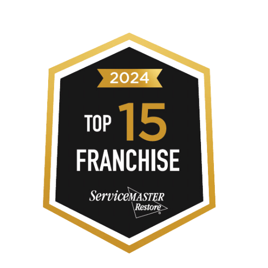 PIP Elite Champion 2024